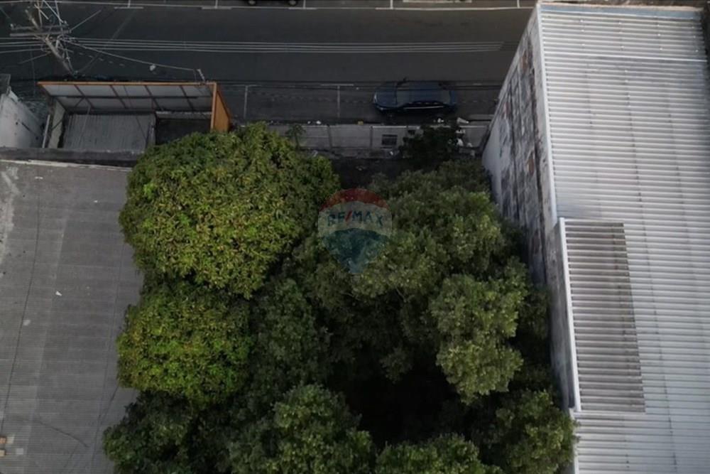 Terreno - Venda - Manaus , Amazonas - 8b876c2a-95fa-4fdf-bf71-4711d42e9f46.jpg - 720661009-63