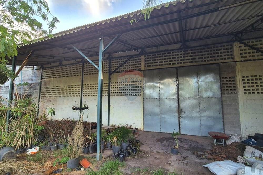 Galpão - Venda - Pedras de Fogo , Paraíba - 20241220_162031.jpg - 722011055-41