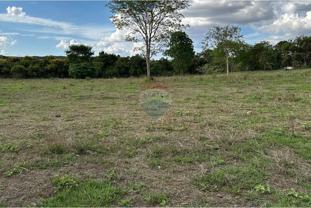 Chácara / Sítio / Fazenda - Venda - Rio Verde , Goiás - 14.jpg - 722291014-34