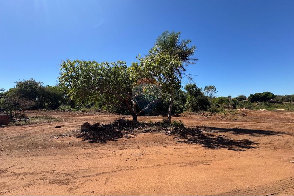 Terreno - Venda - Araguaína , Tocantins - WhatsApp Image 2025-07-17 at 11.11.44 (2).jpeg - 722171003-95