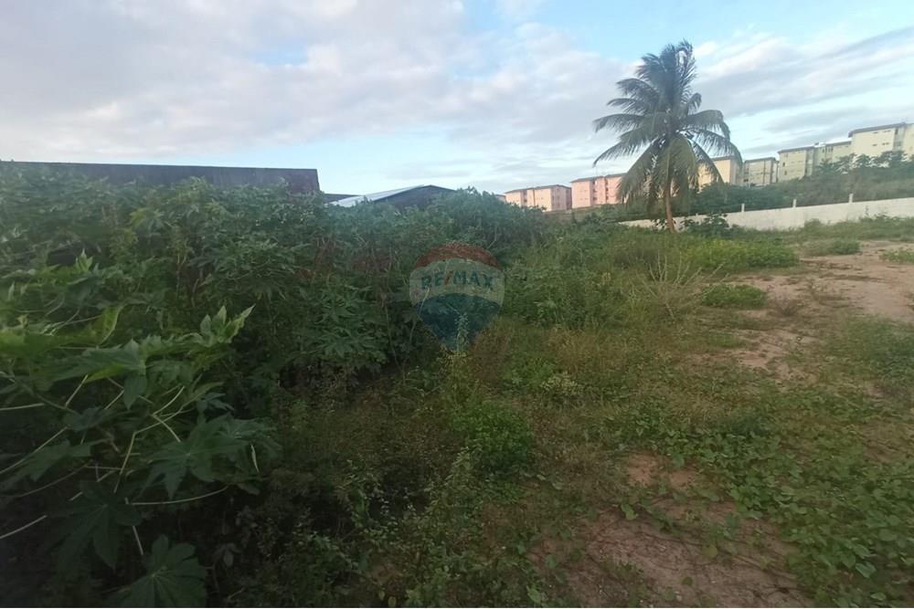 Terreno - Venda - Parnamirim , Rio Grande do Norte - WhatsApp Image 2025-08-04 at 09.58.58 (3).jpeg - 720731041-11