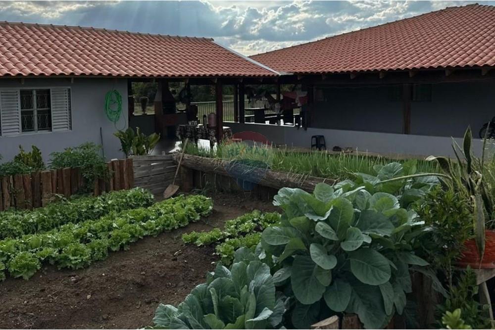 Chácara / Sítio / Fazenda - Venda - Rio Verde , Goiás - 10.jpg - 722291014-34