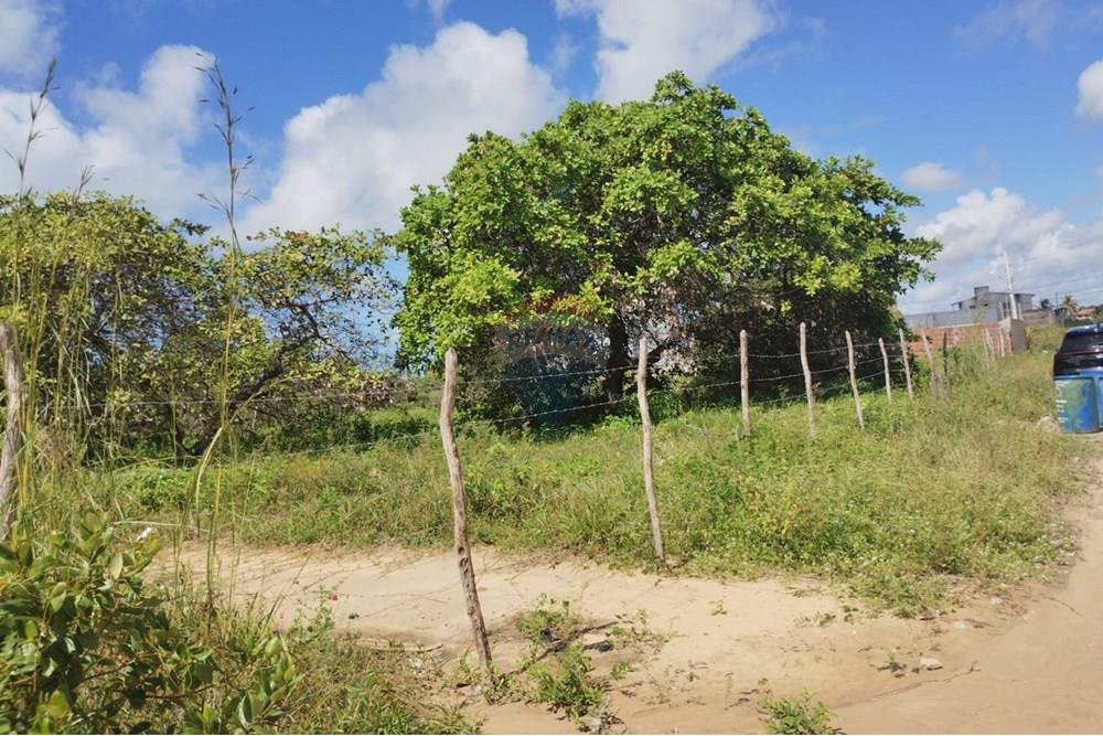 Terreno - Venda - Conde , Paraíba - 46f9235d-eba6-4722-9f95-79395a0b2fc4.jpg - 720871056-11