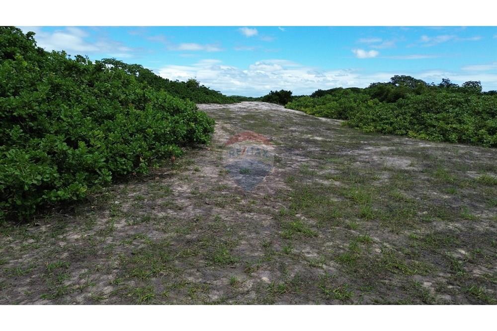 Terreno - Venda - Nísia Floresta , Rio Grande do Norte - DJI_0066.jpg - 720891133-73