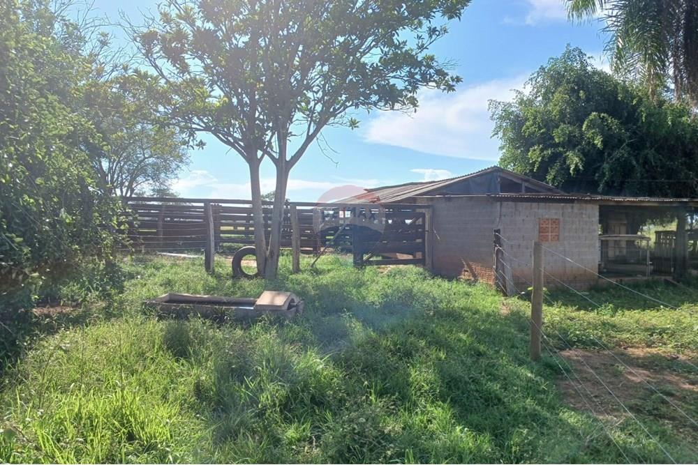 Chácara / Sítio / Fazenda - Venda - São José do Povo , Mato Grosso - WhatsApp Image 2025-04-03 at 17.01.51 (4).jpeg - 722261017-2