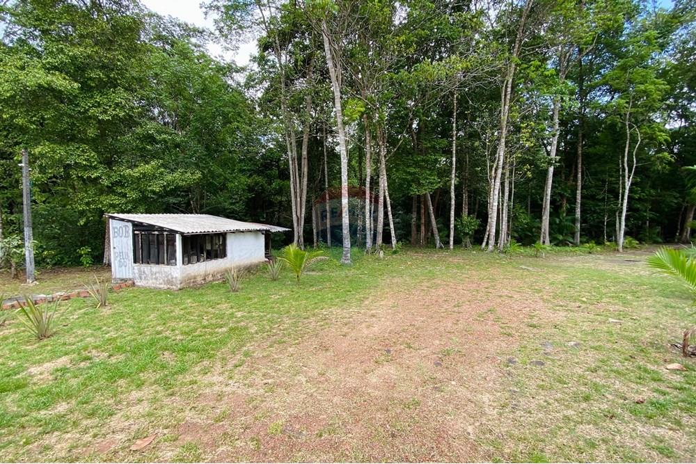 Chácara / Sítio / Fazenda - Venda - Barcarena , Pará - IMG-20250924-WA0486.jpg - 720921028-93