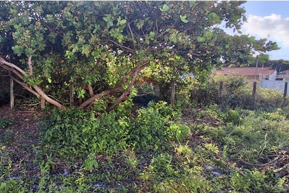 Terreno - Venda - Conde , Paraíba - 5daabcf7-ba87-4670-a84a-18c2465e4397.jpeg - 720871044-98