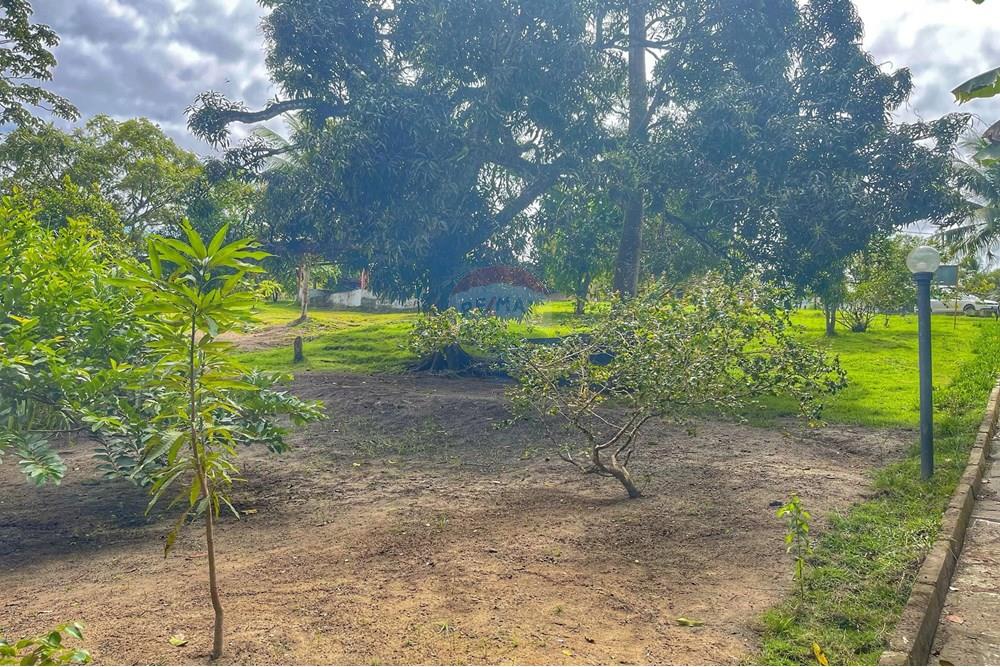 Terreno - Venda - Conde , Paraíba - WhatsApp Image 2024-07-24 at 14.36.00 (2).jpeg - 720871004-166