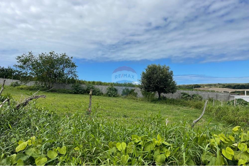 Terreno - Venda - Conde , Paraíba - WhatsApp Image 2024-07-24 at 14.36.29 (1).jpeg - 720871004-166