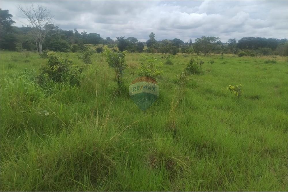 Chácara / Sítio / Fazenda - Venda - Confresa , Mato Grosso - IMG-20250926-WA0037 - Copia.jpg - 720641046-11