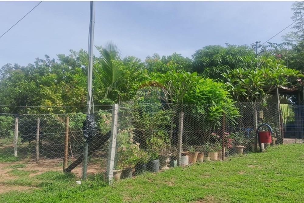 Chácara / Sítio / Fazenda - Venda - Rondonópolis , Mato Grosso - Imagem do WhatsApp de 2025-08-25 à(s) 16.49.17_68a9c9f0.jpg - 722261004-17