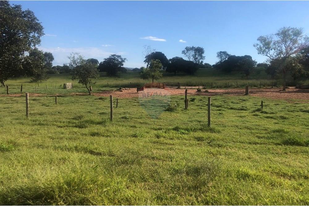Fazenda - Venda - Guiratinga , Mato Grosso - IMG-20250812-WA0126.jpg - 721981068-2