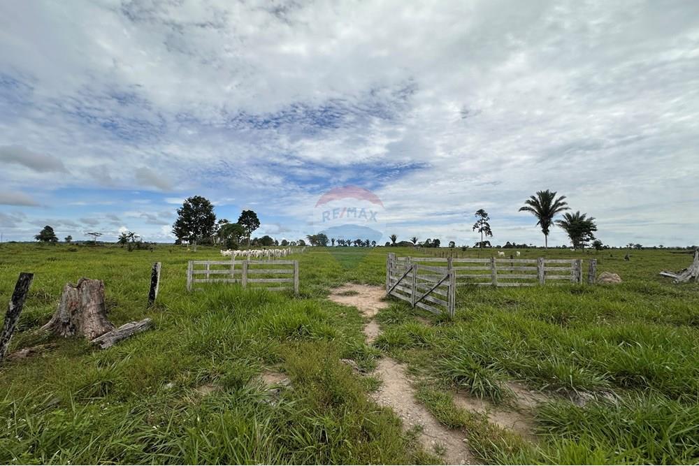 Fazenda - Venda - Itapuã do Oeste , Rondônia - IMG_0342.JPG - 721551004-289