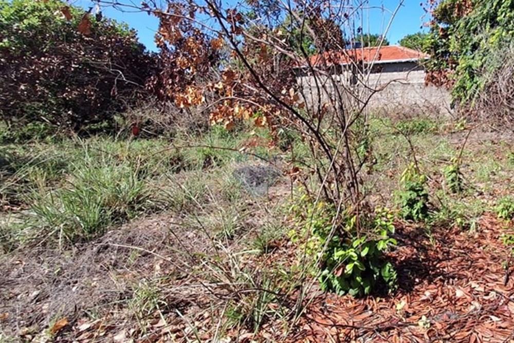 Terreno - Venda - Conde , Paraíba - 51302c7a-ca52-4f71-898f-9c95e515c210.jpeg - 720871044-68