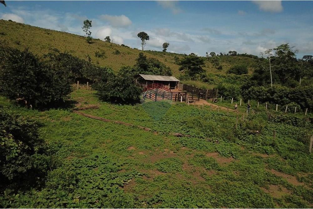 Chácara / Sítio / Fazenda - Venda - Parauapebas , Pará - IMG-20250204-WA0051.jpg - 722021020-6