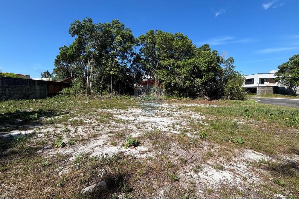 Terreno - Venda - Manaus , Amazonas - WhatsApp Image 2025-08-01 at 09.08.24 (2).jpeg - 720791062-49