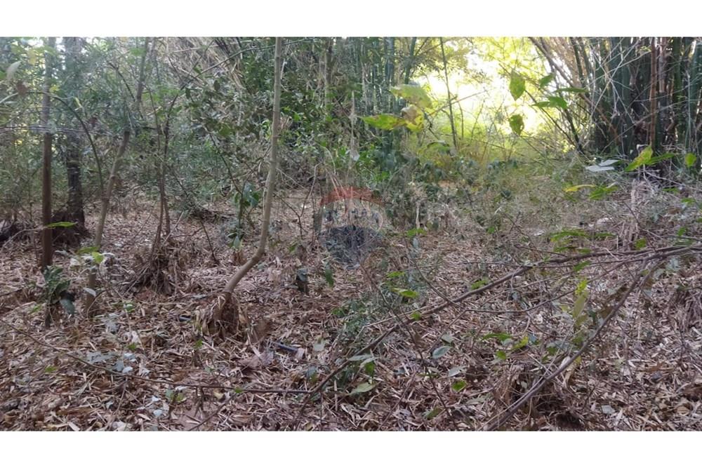 Chácara / Sítio / Fazenda - Venda - Goiânia , Goiás - WhatsApp Image 2025-01-29 at 10.16.24 (2).jpeg - 722271015-4