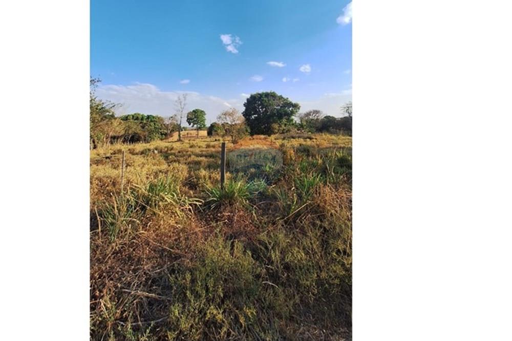 Terreno - Venda - Rondonópolis , Mato Grosso - IMG-20250830-WA0054.jpg - 721981068-6