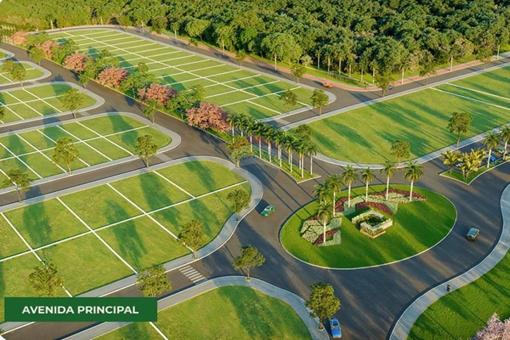 Terreno - Venda - Rio Verde , Goiás - avenidanew.jpg - 722291019-22