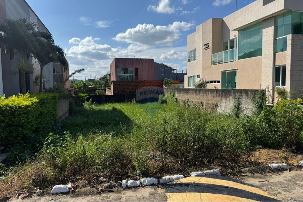 Terreno - Venda - Bananeiras , Paraíba - WhatsApp Image 2025-01-22 at 11.12.35 (1).jpeg - 720551007-26