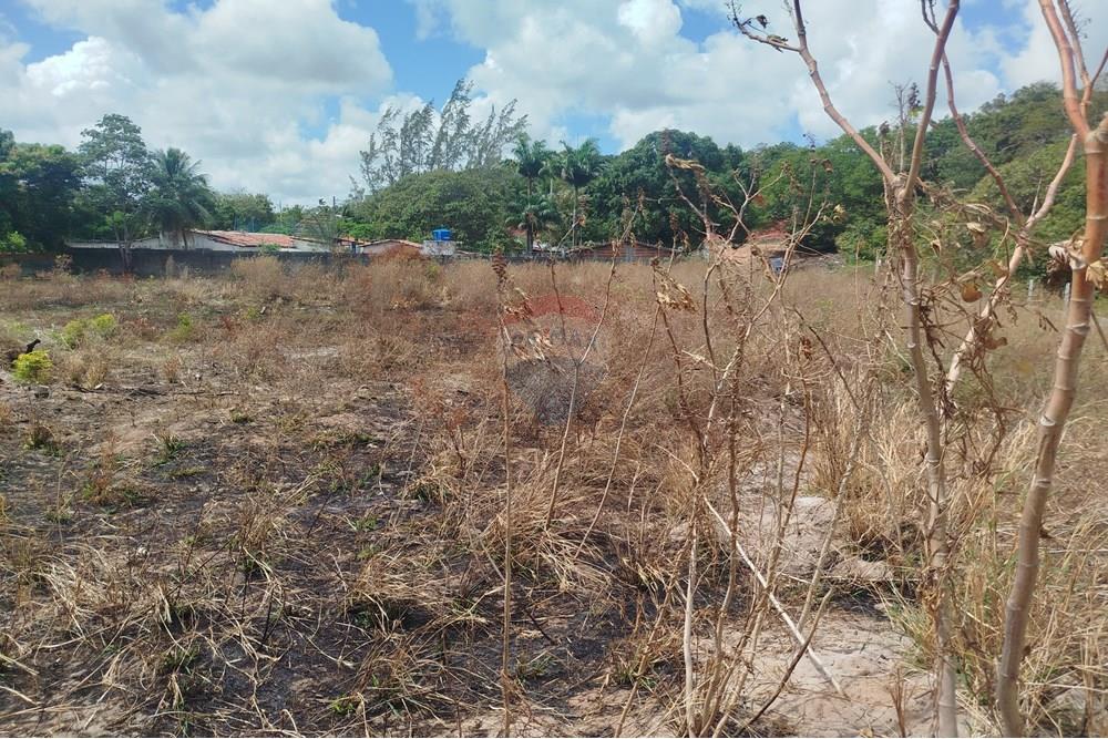 Terreno - Venda - Nísia Floresta , Rio Grande do Norte - WhatsApp Image 2024-11-22 at 21.32.39 (1).jpeg - 720891013-74