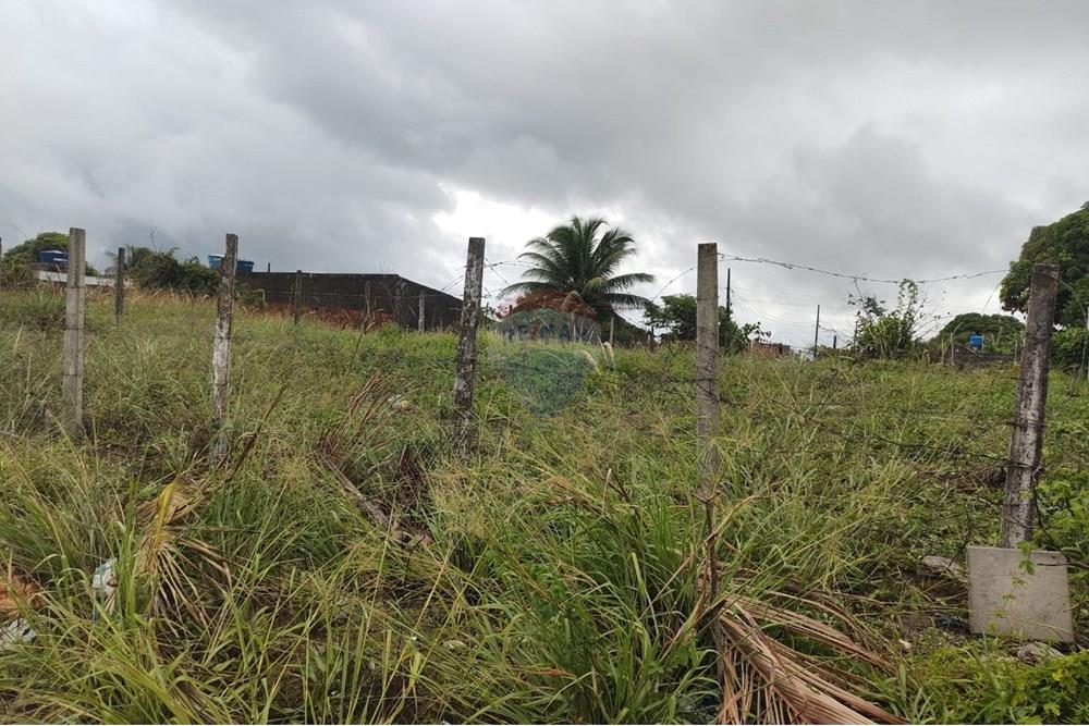 Terreno - Venda - Conde , Paraíba - 8aa7a640-788c-417e-bc15-f353ecb41929.jpeg - 720871031-78