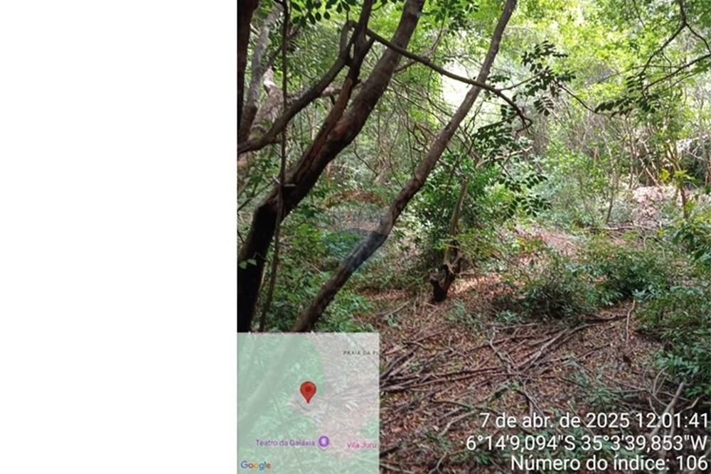 Terreno - Venda - Tibau do Sul , Rio Grande do Norte - Gustavo7.jpeg - 720891150-75