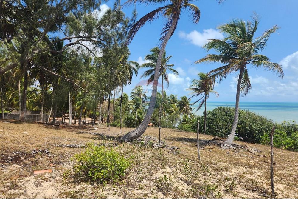 Terreno - Venda - Maxaranguape , Rio Grande do Norte - 20241016_093258.jpg - 720891155-334