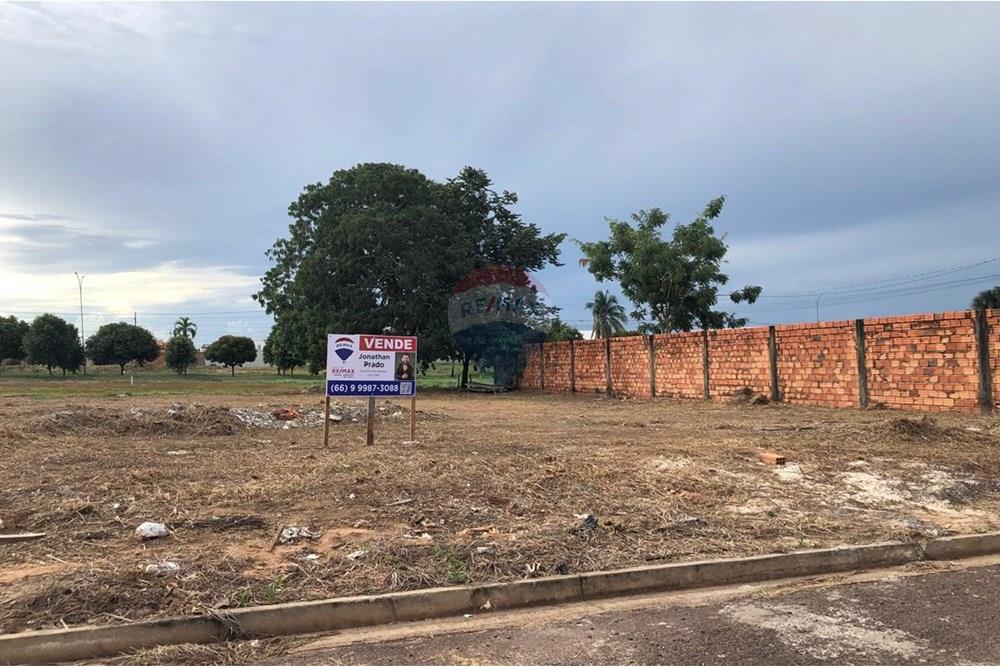Terreno - Venda - Água Boa , Mato Grosso - IMG-20250303-WA0041.jpg - 722211001-26
