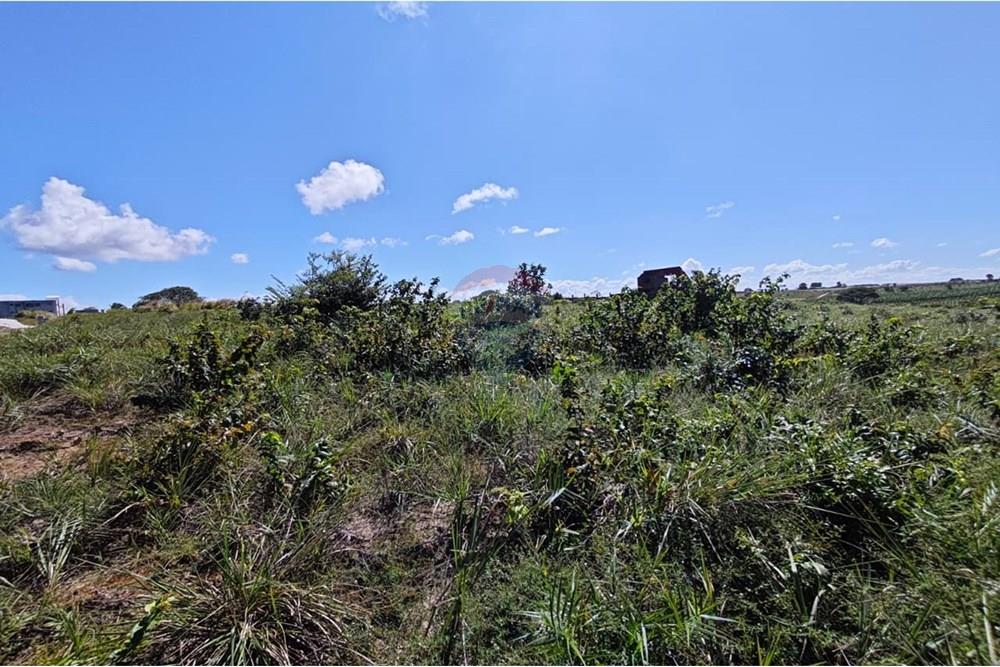 Terreno - Venda - Pitimbu , Paraíba - WhatsApp Image 2025-08-28 at 18.48.42 (1).jpeg - 720871009-188