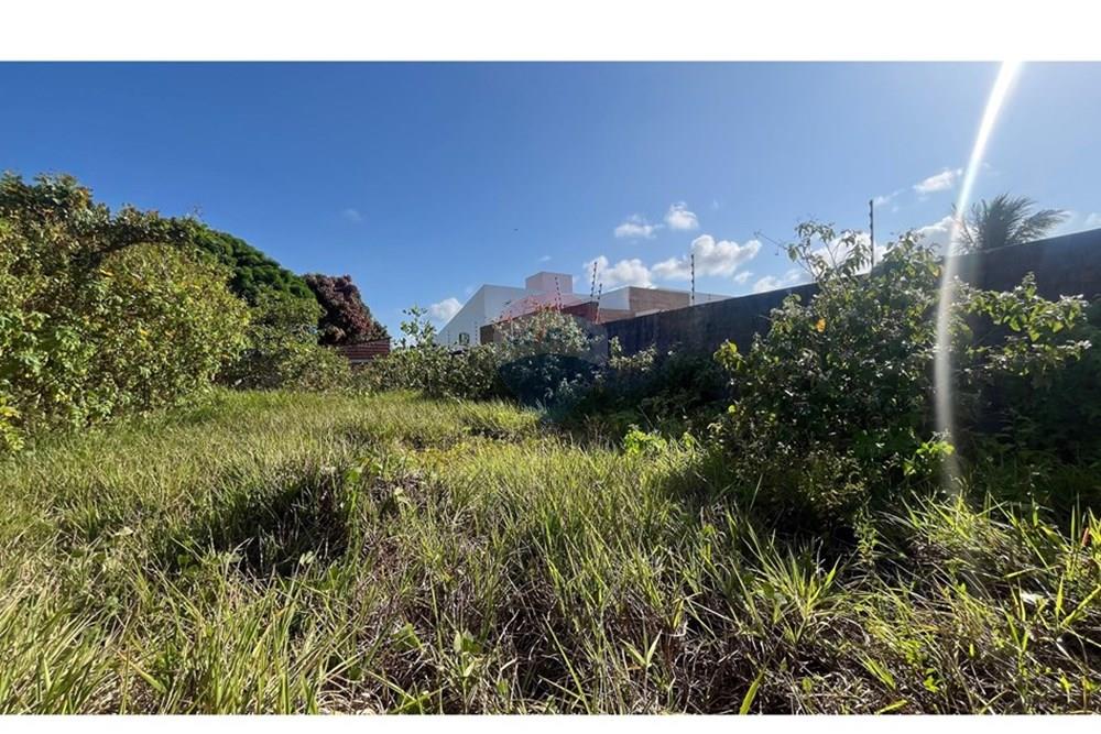 Terreno - Venda - Conde , Paraíba - WhatsApp Image 2025-10-16 at 14.18.36 (2).jpeg - 720871004-214