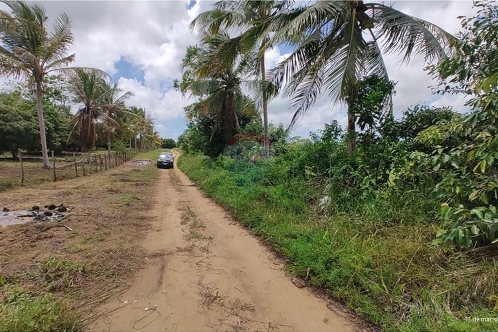 Terreno - Venda - Conde , Paraíba - WhatsApp Image 2025-03-12 at 09.15.13.jpeg - 720871050-6