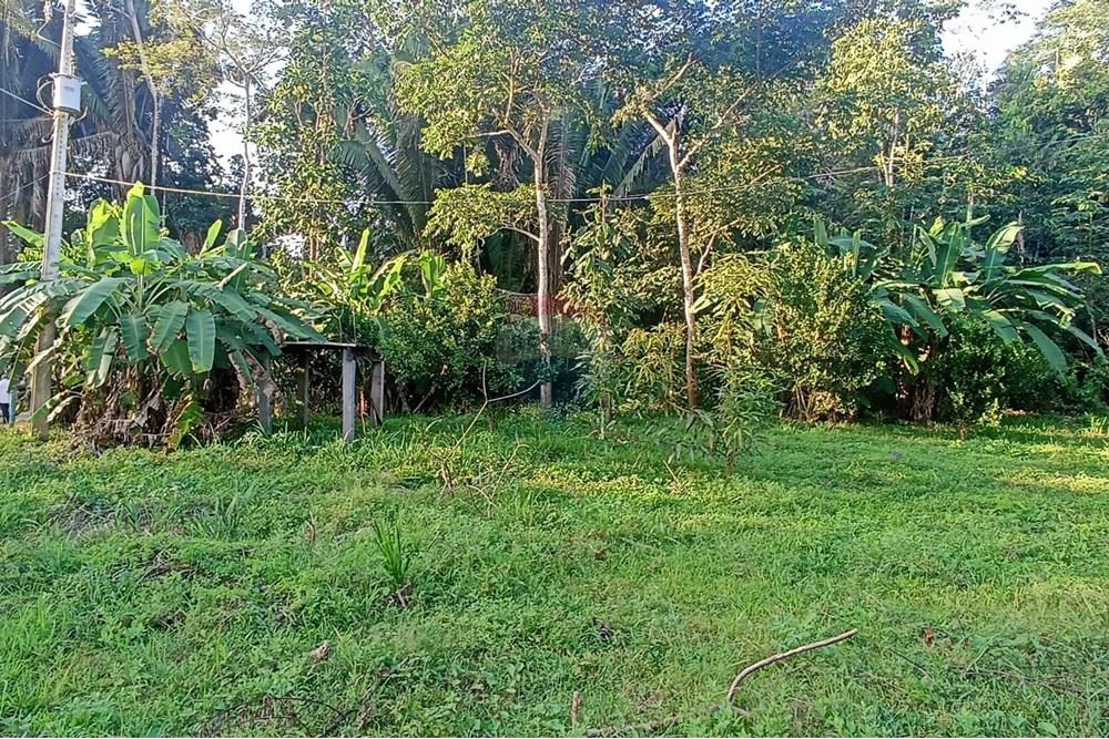 Chácara / Sítio / Fazenda - Venda - Jaru , Rondônia - 7.jpeg - 721551072-20