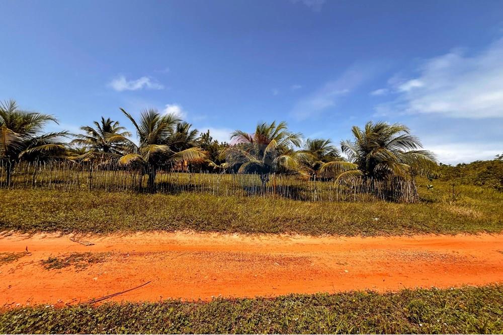 Terreno - Venda - Touros , Rio Grande do Norte - WhatsApp Image 2025-09-23 at 18.38.12.jpeg - 720891024-232