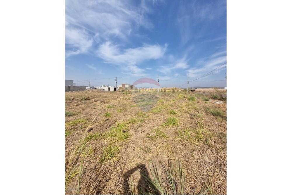 Terreno - Venda - Confresa , Mato Grosso - IMG-20250915-WA0039.jpg - 720641046-6