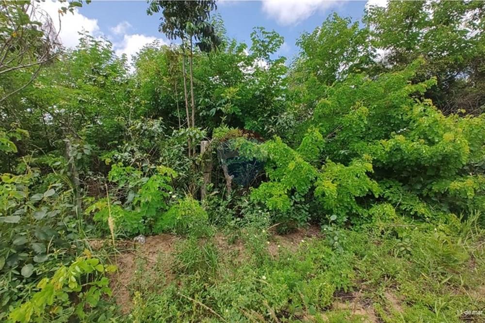 Terreno - Venda - Conde , Paraíba - WhatsApp Image 2025-03-12 at 09.15.14 (3).jpeg - 720871050-6