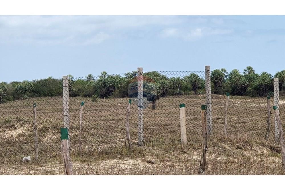 Terreno - Venda - Cruz , Ceará - 20250817_105517.jpg - 722341001-75