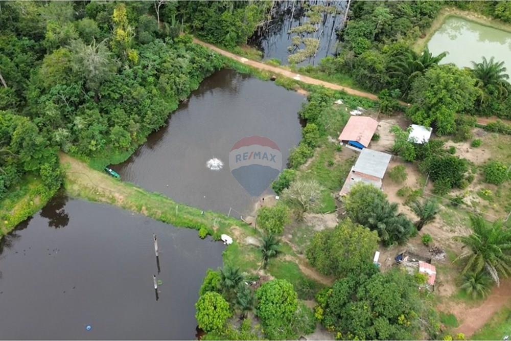 Chácara / Sítio / Fazenda - Venda - Novo Airão , Amazonas - Tanques de Peixes4.jpg - 720721055-29
