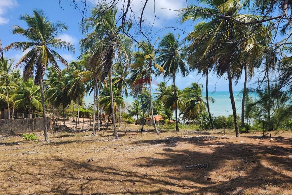 Terreno - Venda - Maxaranguape , Rio Grande do Norte - 20241016_093503.jpg - 720891155-334