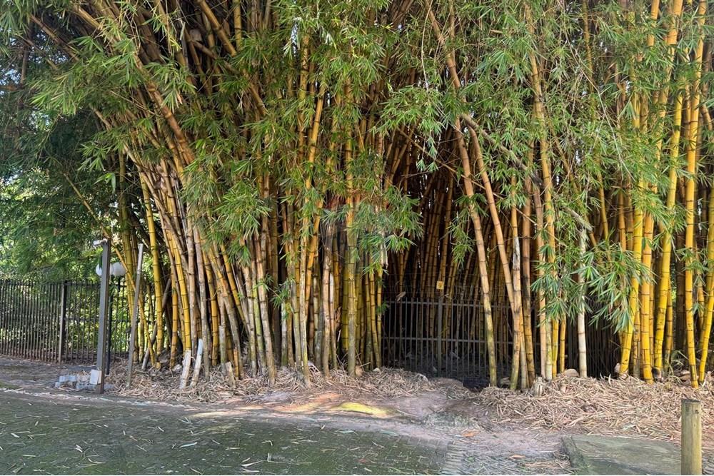 Casa de Condomínio - Venda - Aparecida de Goiânia , Goiás - 40.jpg - 722271015-9