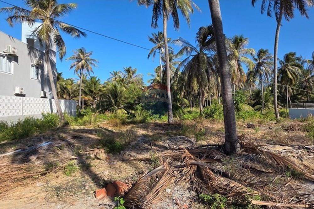 Terreno - Venda - Trairi , Ceará - 1000189519.jpg - 722341001-103