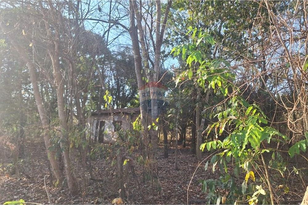 Outros - Venda - Rondonópolis , Mato Grosso - IMG-20250830-WA0122.jpg - 721981068-7