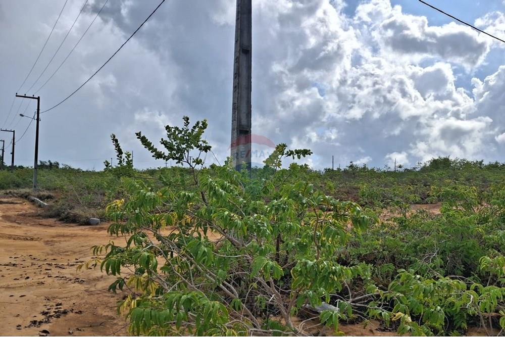 Terreno - Venda - Conde , Paraíba - 9b6adfd9-133a-4a57-8169-8830ecdf510e.jpeg - 720871044-31