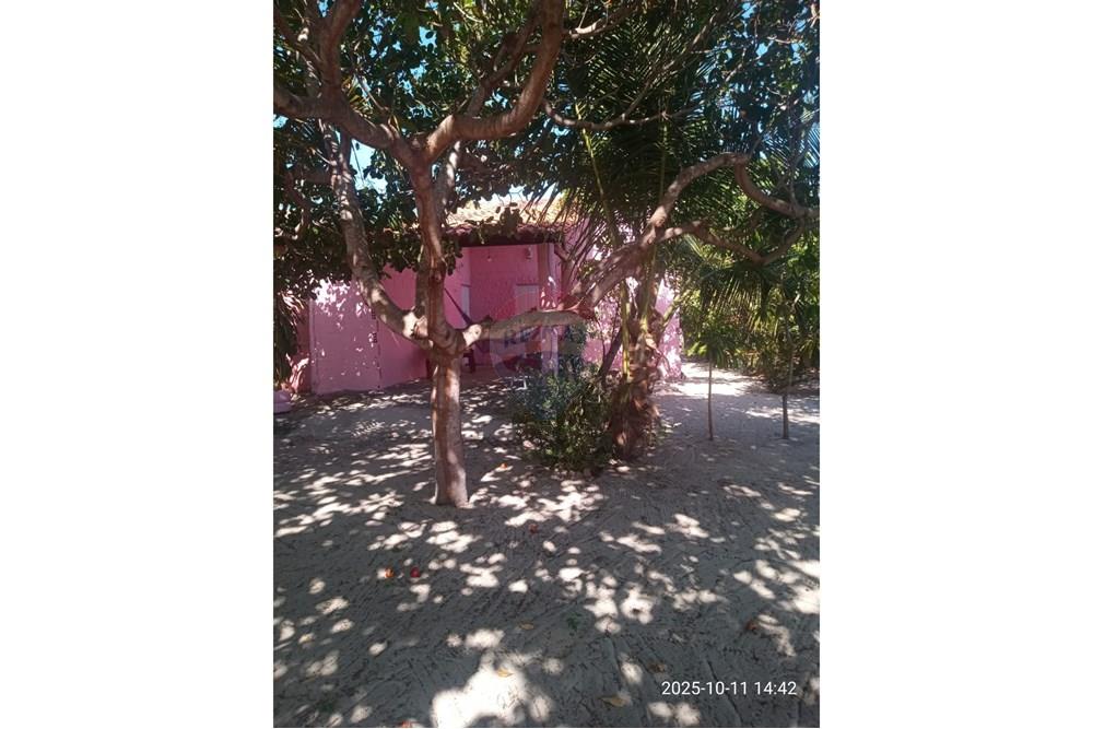 Chácara / Sítio / Fazenda - Venda - Parnaíba , Piauí - WhatsApp Image 2025-10-15 at 09.35.37 (1).jpeg - 722361007-3