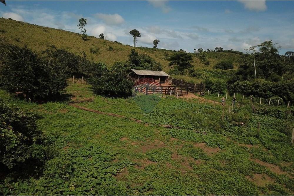 Chácara / Sítio / Fazenda - Venda - Parauapebas , Pará - IMG-20250204-WA0046.jpg - 722021020-6