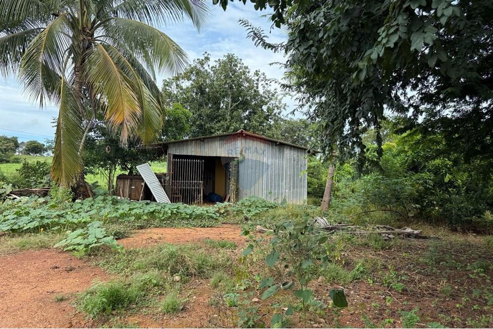 Chácara / Sítio / Fazenda - Venda - São José do Povo , Mato Grosso - IMG-20250407-WA0061.jpg - 720851027-112