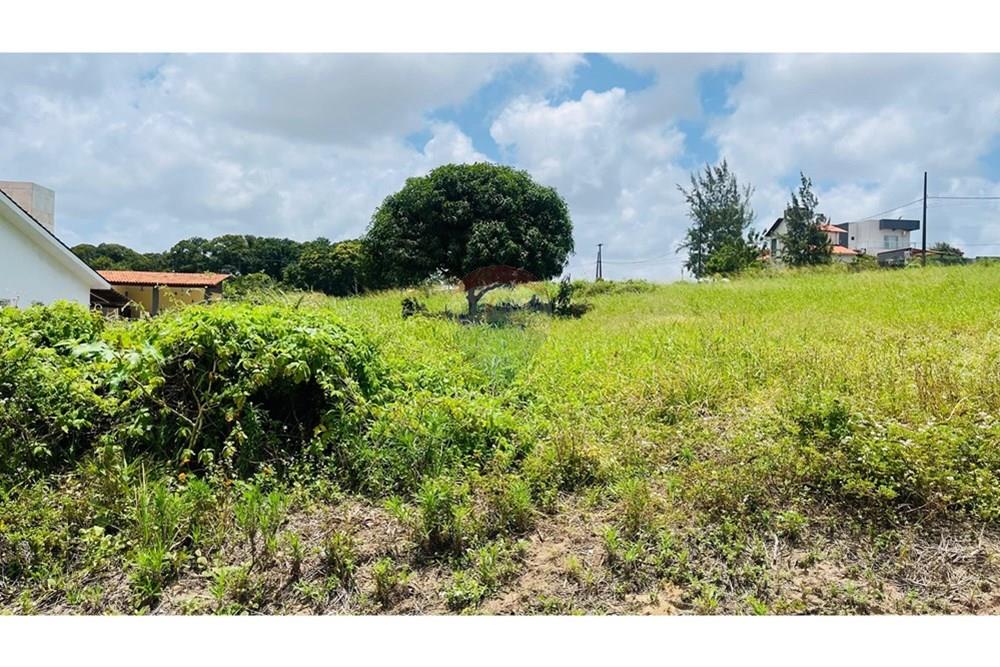 Terreno - Venda - Conde , Paraíba - WhatsApp Image 2025-09-24 at 13.37.04.jpeg - 720871004-211