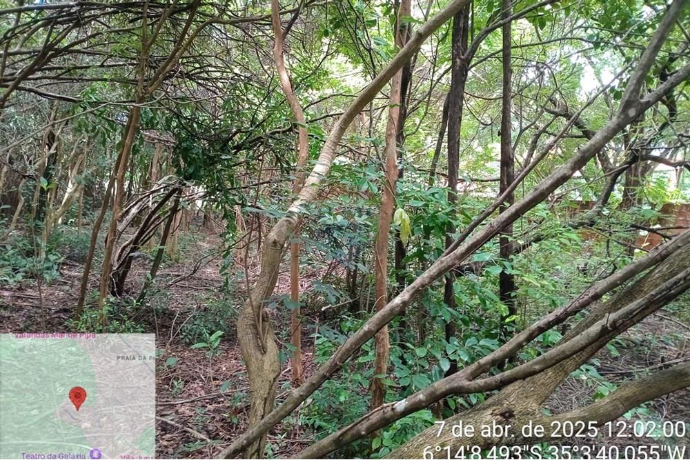 Terreno - Venda - Tibau do Sul , Rio Grande do Norte - Gustavo3.jpeg - 720891150-75