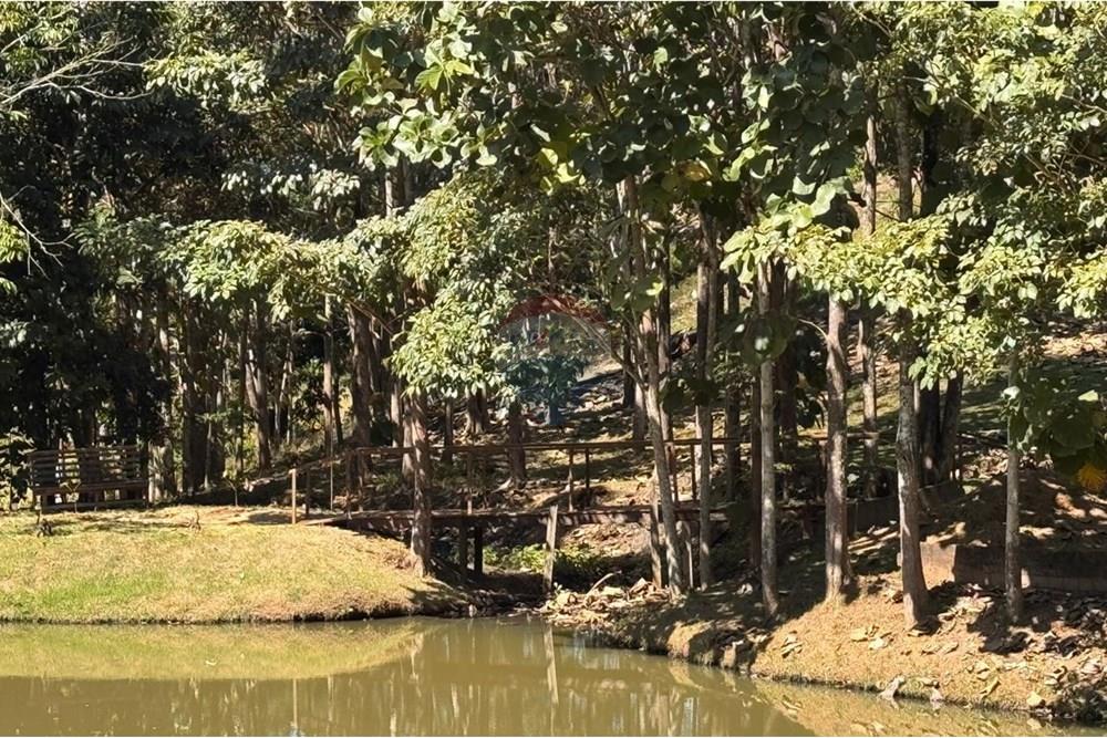 Chácara / Sítio / Fazenda - Venda - Jaru , Rondônia - ae95febc-23a8-451a-9eb9-ecb7a230f575.jpeg - 721551076-205