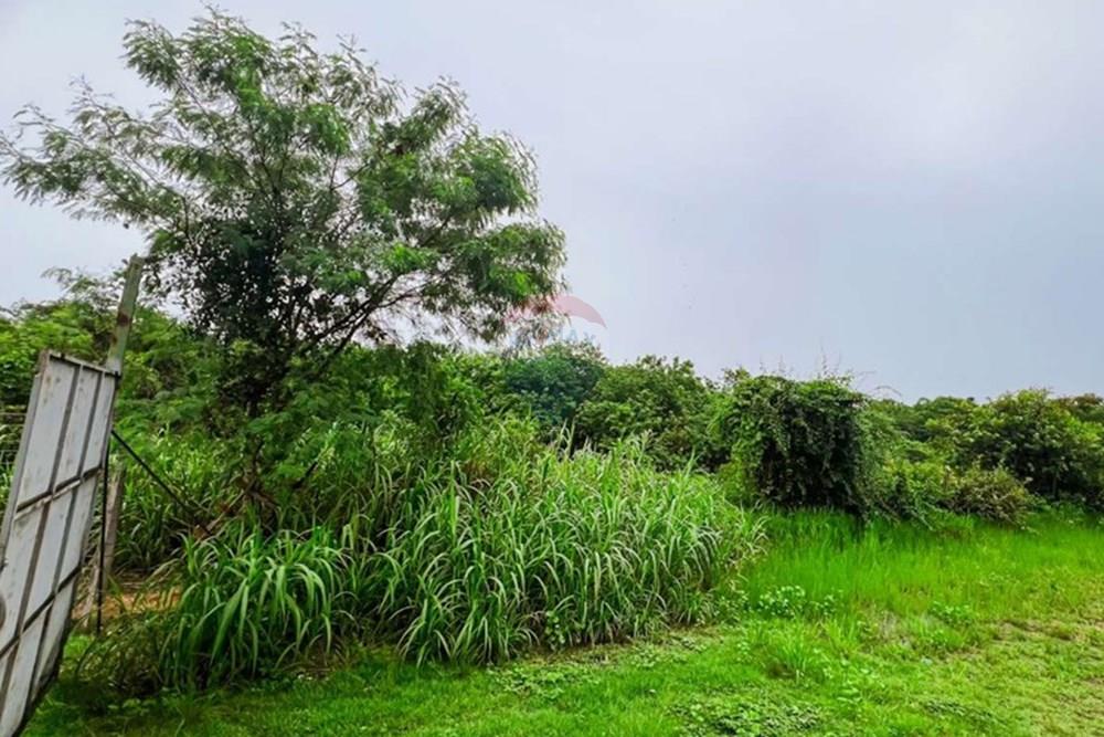 Terreno - Venda - Manaus , Amazonas - Captura de tela 2025-03-14 182713_pages-to-jpg-0006.jpg - 720661004-49